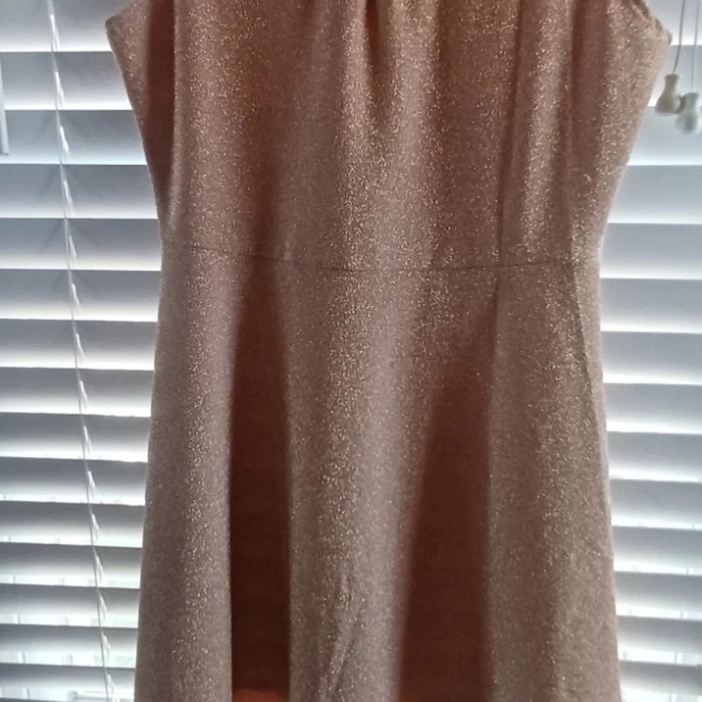 Adam Levine Collection Glittering Gold Top